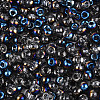 6/0 Half Plated Glass Beads SEED-N008-04C-3
