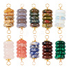 10Pcs 10 Styles Mixed Gemstone Copper Wire Wrapped Disc Connector Charms FIND-TA0003-69-2