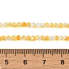 Natural Yellow Shell Beads Strands SHEL-M021-03A-4