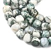Natural Tree Agate Beads Strands G-C267-A18-4