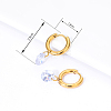 Fashionable Brass Rhinestone Hoop Earrings XN7897-4