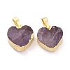 Natural Amethyst Pendants G-B012-13G-01-2