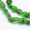 Natural Green Diopside Beads Strands G-K203-53-3