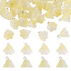 38Pcs Glass Charms GLAA-TADJ0001-19B-1