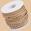 10M Flat Braided Imitation Leather Cords LC-CL0001-04C-7
