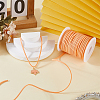1Roll Imitation Leather Cord OCOR-SC0001-12E-3