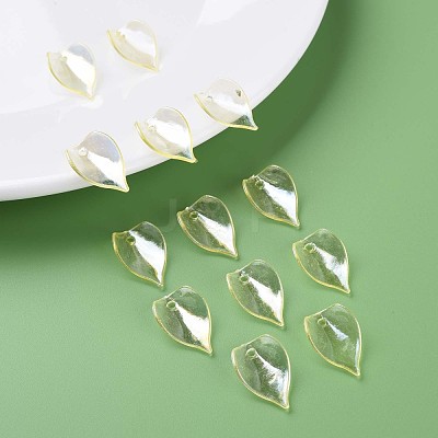 Transparent Acrylic Beads MACR-S373-103-C01-1
