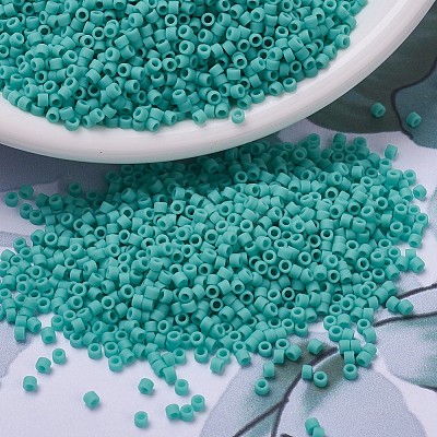 MIYUKI Delica Beads X-SEED-J020-DB0759-1