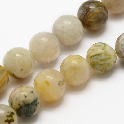 Natural Bamboo Leaf Agate Beads Strands G-K194-8mm-01-1