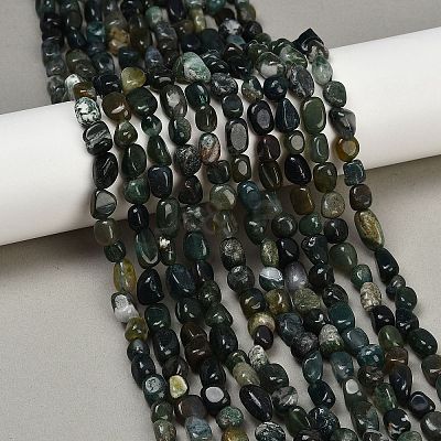 Natural Moss Agate Beads Strands G-Q060-D10-1