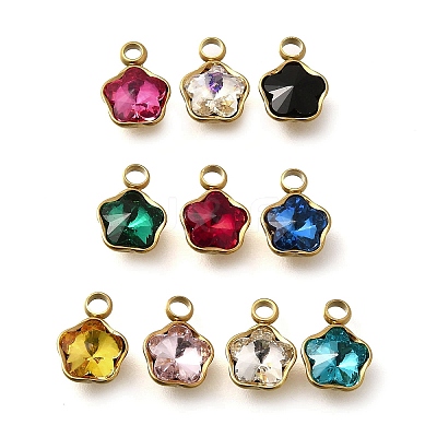304 Stainless Steel Pendants STAS-Q346-02G-1