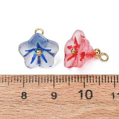 Baking Paint Frosted Glass Pendants GL-CBA010C-01G-1