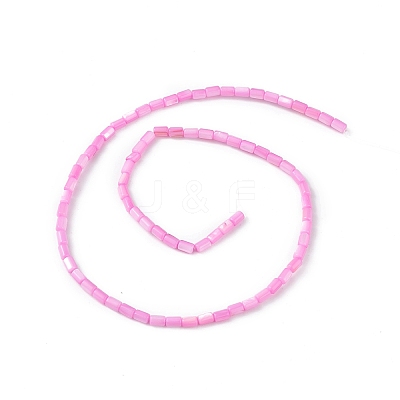 Natural Freshwater Shell Dyed Beads Strands SHEL-M018-12-10-1