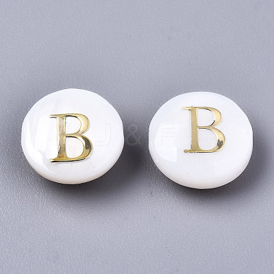 Natural Freshwater Shell Beads SHEL-S266-12B-1