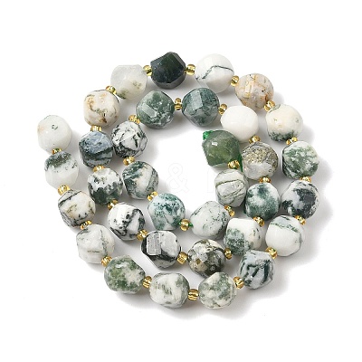 Natural Tree Agate Beads Strands G-U023-A15-01-1