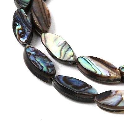 Natural Abalone Shell Paua Shell Beads Strands SH-CBA69D1-01-1