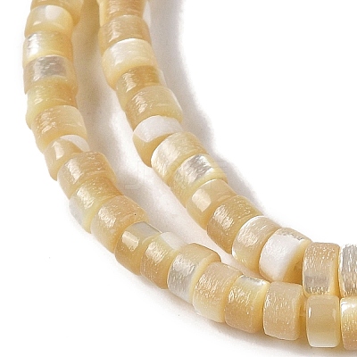 Natural Trochid Shell/Trochus Shell Beads Strands BSHE-H018-02-1