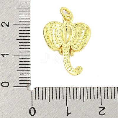 Rack Plating Brass Pendants KK-U021-07G-1