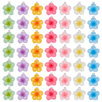 49Pcs 7 Colors Opaque Resin Pendants CRES-PH0001-30-1