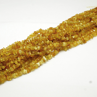 Natural Amber Chip Beads Strands G-E333-01B-1