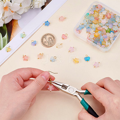 Frosted Acrylic Charms PALLOY-AR00037-1