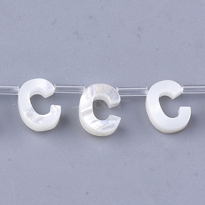 Natural Sea Shell Beads SHEL-T012-60C-1