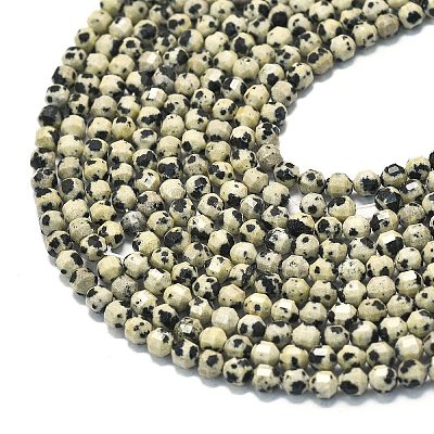Natural Dalmatian Jasper Beads Strands G-A260-A10-01-1