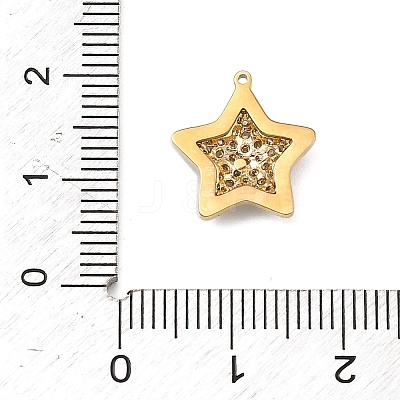 304 Stainless Steel Micro Pave Cubic Zirconia Charms STAS-I356-04G-03-1