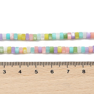 Natural Trochid Shell/Trochus Shell Beads Strands BSHE-H018-04-1