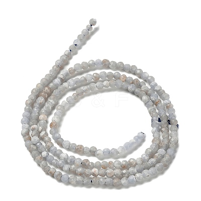 Natural Angelite Beads Strands G-RM2025-16-2mm-1
