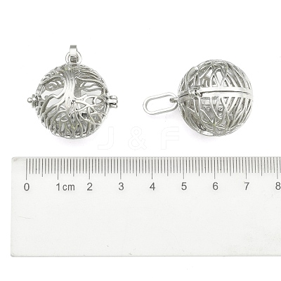 Rack Plating Brass Cage Pendants X-KK-M181-02P-NF-1