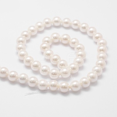 Rainbow Plated Shell Pearl Bead Strands X-BSHE-L025-02-6mm-1