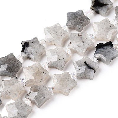 Natural Grey Labradorite Beads Strands G-T138-184-1