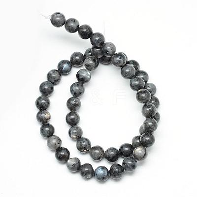 Natural Larvikite Beads Strands G-R345-12mm-33-1