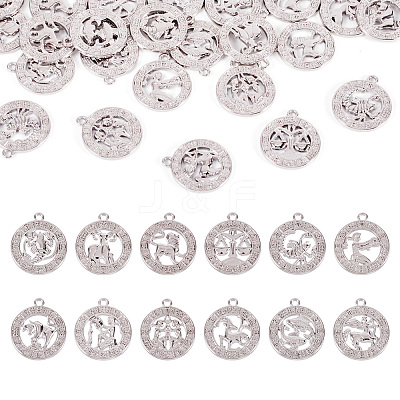 Zinc Alloy Jewelry Pendant Accessories FIND-FW0001-03B-1