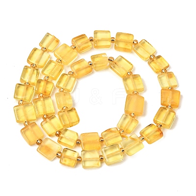Natural Amber Beads Strands G-C260-A01-04-1