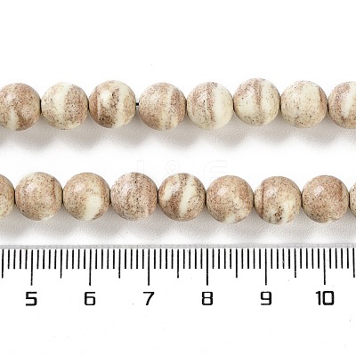Natural Rainbow Alashan Agate Beads Strands G-NH0022-A10-02-1