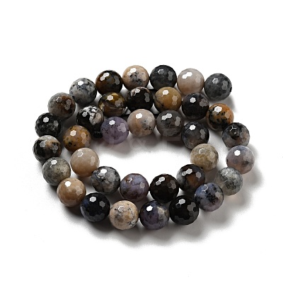 Natural Dendritic Jasper Beads Strands G-E571-32B-1