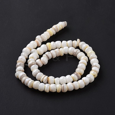Natural Cultured Freshwater Shell Beads Strands SHEL-F002-01D-1