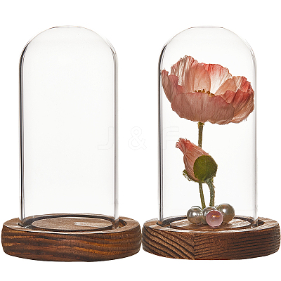 Glass Dome Cover AJEW-SC0001-61B-1