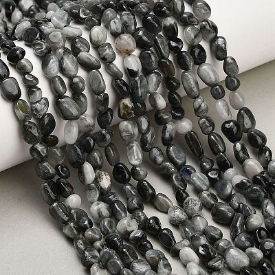 Natural Eagle Eye Stone Beads Strands G-D108-A02-04-1