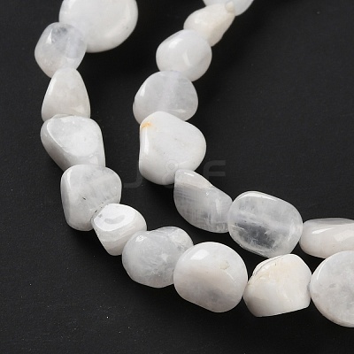 Natural Rainbow Moonstone Beads Strands G-P497-01C-63-1