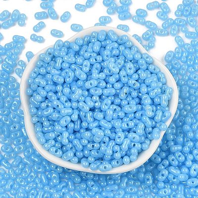 Baking Paint Glass Seed Beads SEED-L011-09A-06-1
