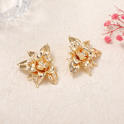 Zinc Alloy Stud Earrings for Women WGD1381-01-1