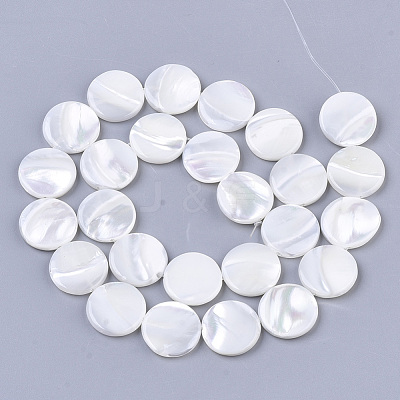 Trochus Shell Beads Strands SHEL-T016-11-1