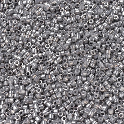MIYUKI Delica Beads X-SEED-J020-DB0251-1