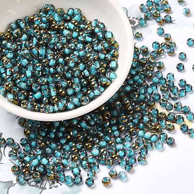 Glass Seed Beads X1-SEED-H002-B-D223-1