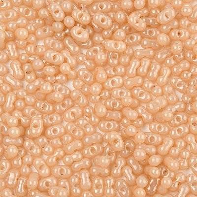 Baking Paint Glass Seed Beads SEED-L011-09A-15-1