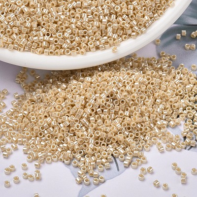 MIYUKI Delica Beads X-SEED-J020-DB1561-1