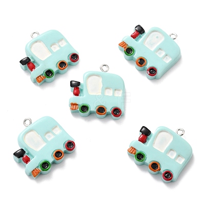 Resin Pendants RESI-F027-02-1